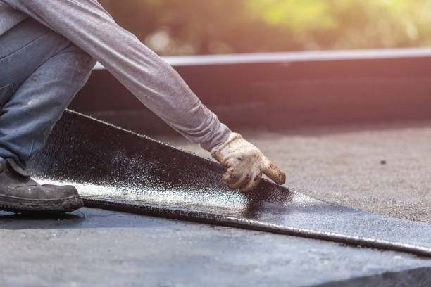 Professional Interior Drainage System technician working in Darien Center, NY